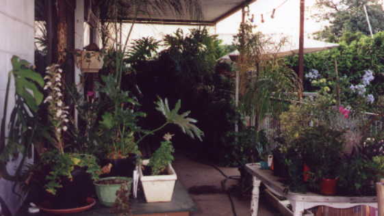 back verandah